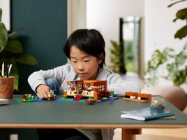 LEGO 21256 картинка 9 LEGO 21256 картинка 9