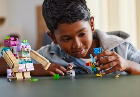 LEGO 21257 картинка 8 LEGO 21257 картинка 8