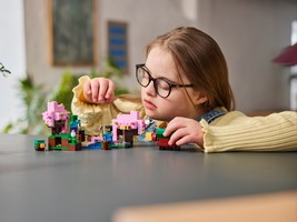 LEGO 21260 картинка 7 LEGO 21260 картинка 7