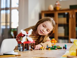 LEGO 21262 картинка 8