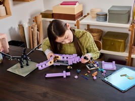 LEGO 21264 картинка 9 LEGO 21264 картинка 9