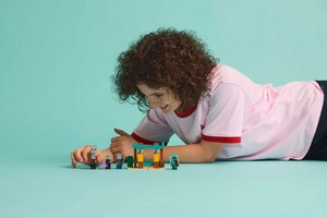 LEGO 21267 картинка 5 LEGO 21267 картинка 5