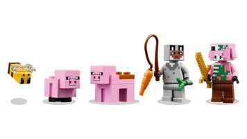 LEGO 21268 картинка 5 LEGO 21268 картинка 5
