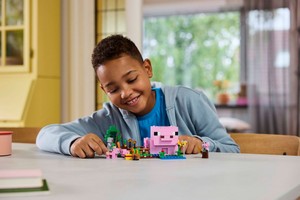 LEGO 21268 картинка 6 LEGO 21268 картинка 6