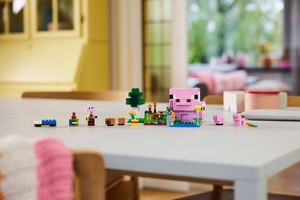 LEGO 21268 картинка 7 LEGO 21268 картинка 7
