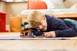 LEGO 21269 картинка 6 LEGO 21269 картинка 6