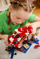 LEGO 21270 картинка 7 LEGO 21270 картинка 7