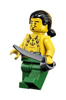 LEGO 21322 картинка 32 LEGO 21322 картинка 32