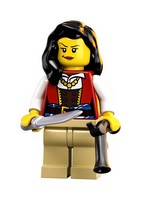 LEGO 21322 картинка 33 LEGO 21322 картинка 33