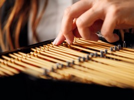 LEGO 21323 картинка 21 LEGO 21323 картинка 21