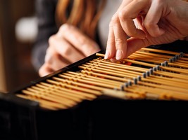 LEGO 21323 картинка 22 LEGO 21323 картинка 22