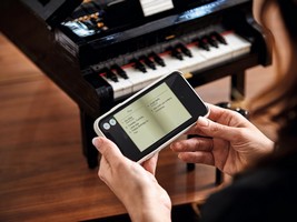 LEGO 21323 картинка 25 LEGO 21323 картинка 25