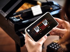 LEGO 21323 картинка 26 LEGO 21323 картинка 26