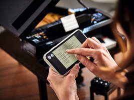 LEGO 21323 картинка 27 LEGO 21323 картинка 27