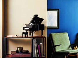 LEGO 21323 картинка 32 LEGO 21323 картинка 32