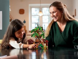 LEGO 21326 картинка 18