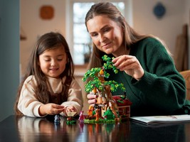 LEGO 21326 картинка 20