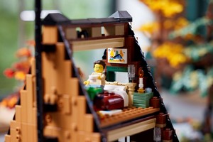 LEGO 21338 картинка 14 LEGO 21338 картинка 14