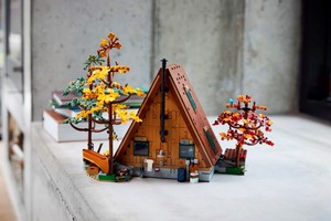LEGO 21338 картинка 16 LEGO 21338 картинка 16