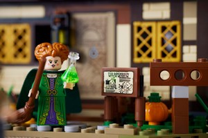 LEGO 21341 картинка 21 LEGO 21341 картинка 21