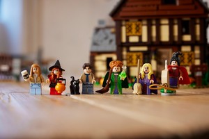 LEGO 21341 картинка 26 LEGO 21341 картинка 26