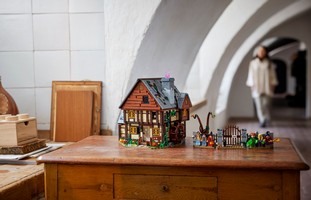 LEGO 21341 картинка 27 LEGO 21341 картинка 27