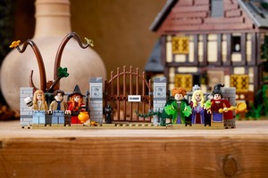 LEGO 21341 картинка 28 LEGO 21341 картинка 28