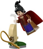 LEGO 21341 картинка 9 LEGO 21341 картинка 9