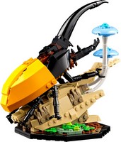 LEGO 21342 картинка 4