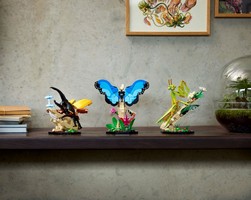 LEGO 21342 картинка 9
