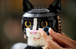 LEGO 21349 картинка 6