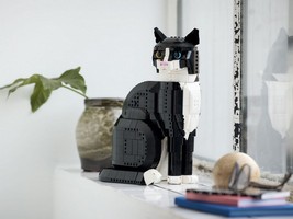 LEGO 21349 картинка 8