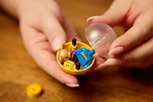 LEGO 21358 картинка 11