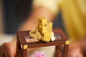 LEGO 21362 картинка 14 LEGO 21362 картинка 14