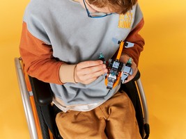 LEGO 31111 картинка 12