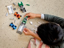 LEGO 31113 картинка 12 LEGO 31113 картинка 12