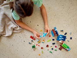 LEGO 31118 картинка 13