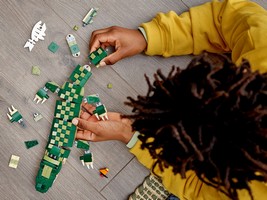 LEGO 31121 картинка 12 LEGO 31121 картинка 12