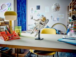 LEGO 31152 картинка 9 LEGO 31152 картинка 9