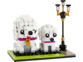 LEGO 40546 картинка 1 LEGO 40546 картинка 1