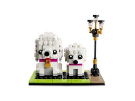 LEGO 40546 картинка 3 LEGO 40546 картинка 3