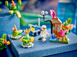 LEGO 40715 картинка 4