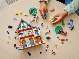 LEGO 41683 картинка 14