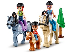 LEGO 41683 картинка 8