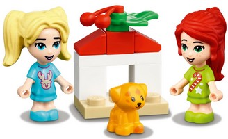 LEGO 41690 картинка 4 LEGO 41690 картинка 4