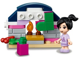 LEGO 41690 картинка 5 LEGO 41690 картинка 5