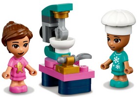 LEGO 41690 картинка 6 LEGO 41690 картинка 6