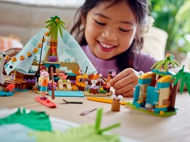 LEGO 41700 картинка 6 LEGO 41700 картинка 6