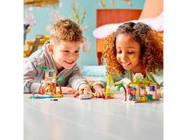 LEGO 41710 картинка 8 LEGO 41710 картинка 8