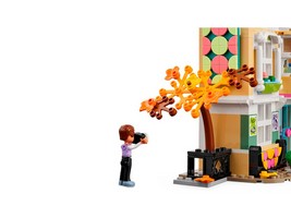 LEGO 41711 картинка 7